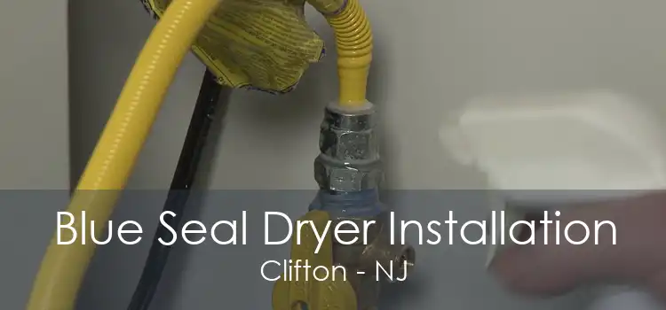 Blue Seal Dryer Installation Clifton - NJ