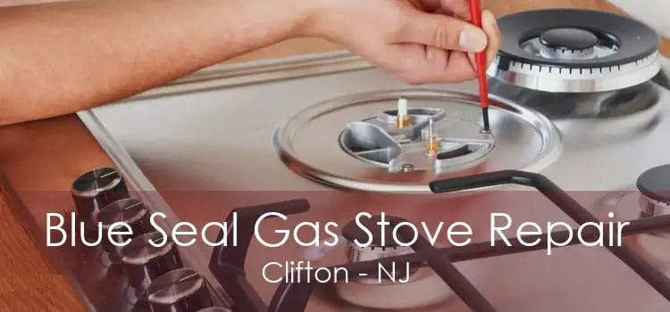 Blue Seal Gas Stove Repair Clifton - NJ