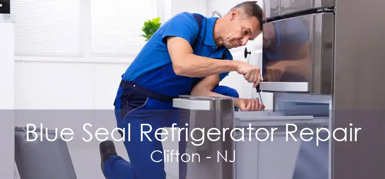 Blue Seal Refrigerator Repair Clifton - NJ