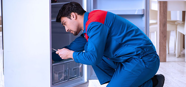 Freezer Repair Services in Clifton, New Jersey