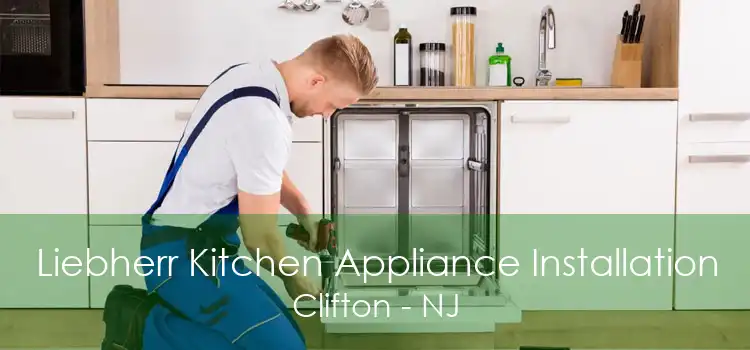 Liebherr Kitchen Appliance Installation Clifton - NJ