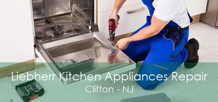 Liebherr Kitchen Appliances Repair Clifton - NJ