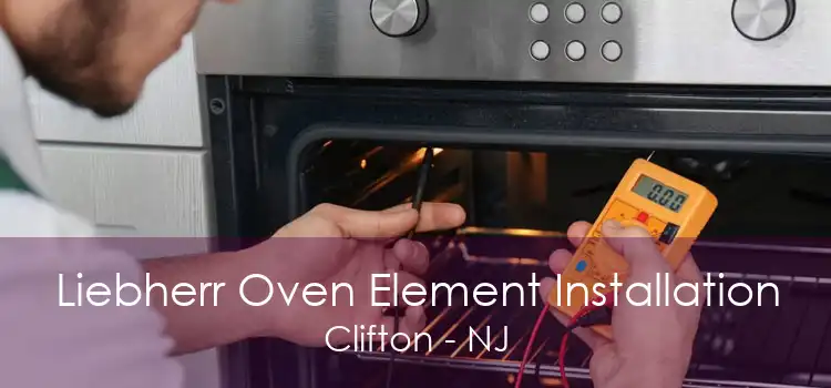 Liebherr Oven Element Installation Clifton - NJ